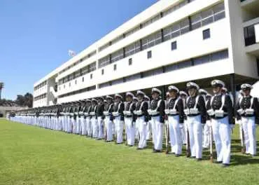 Fuerzas armadas y organismos institucionales